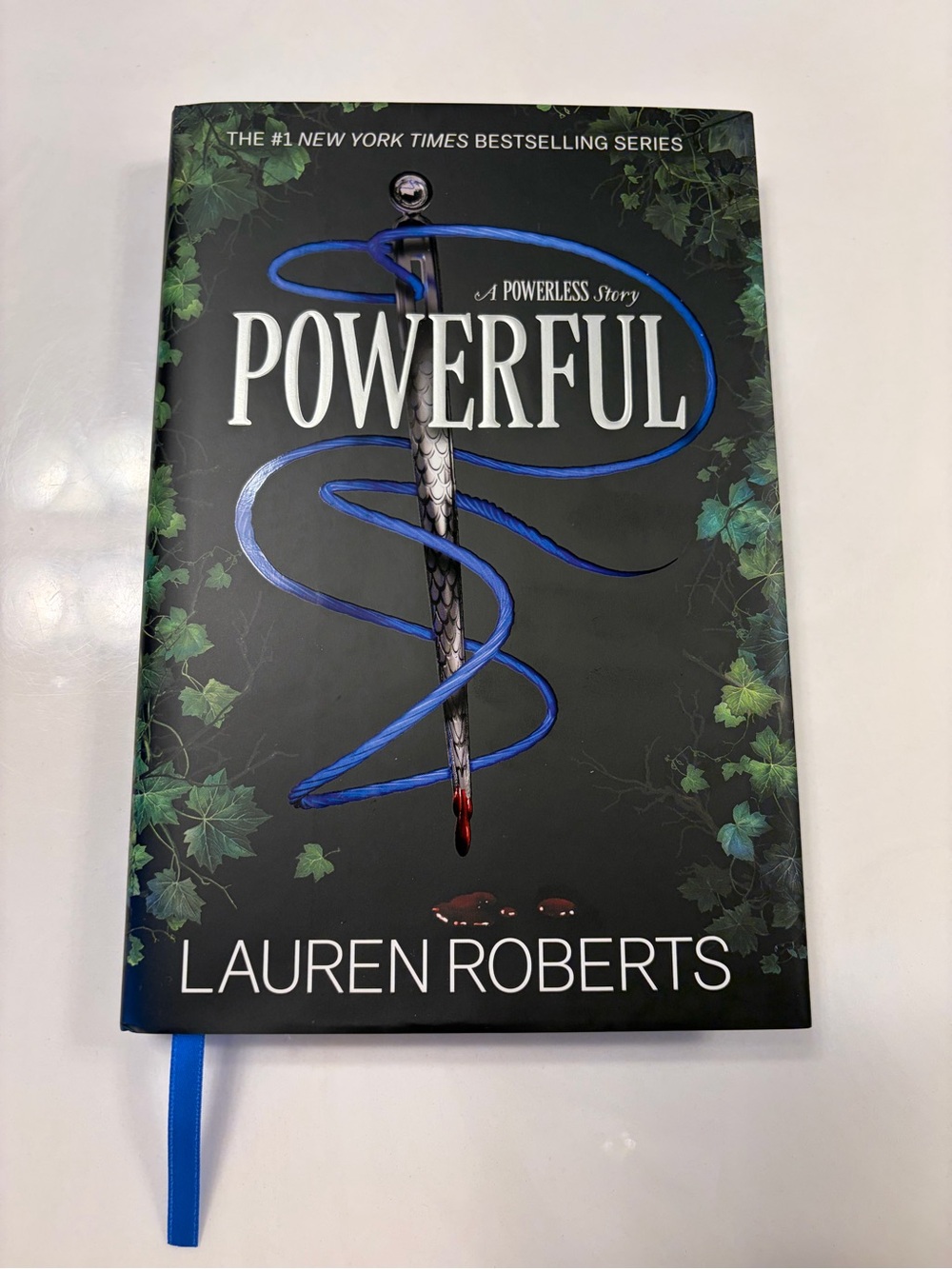 Powerful by Lauren Roberts - Blue & Black Hardcover Novel